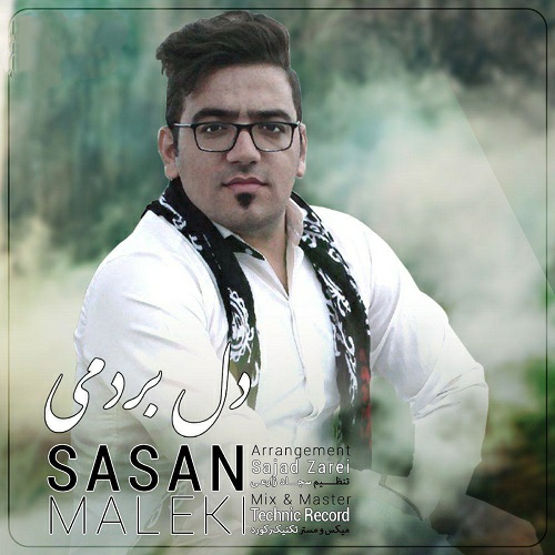 ساسان ملکی دل بردمی